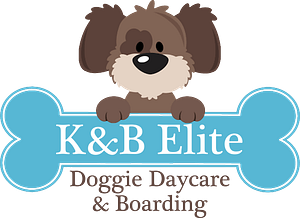 K & B Elite Doggie Daycare