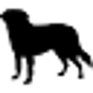 Dogs A Jammin - Logo