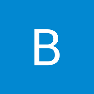 Binswanger Glass - Logo