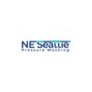 NE Seattle Pressure Washing - Logo
