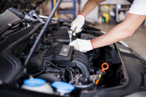 Cardinal Auto Services