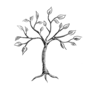 Ivory Tree Portraits - Logo