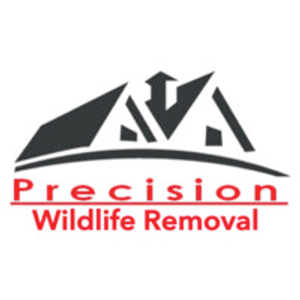 Precision Wildlife Removal - Logo