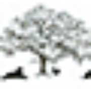 Old Towne Animal Hospital - Logo