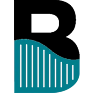 Bolton Painting - Logo