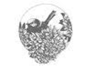 Wren Floral Design - Logo
