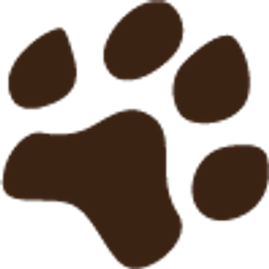 The Canine Connection