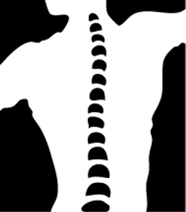 Cornerstone Chiropractic Tustin - Logo