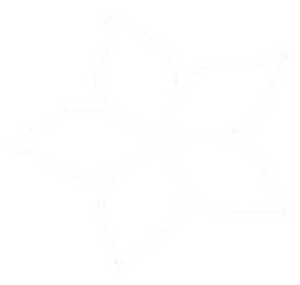 Awaken Your Essence - Logo