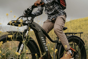 Beartooth E-Bike Rentals - Logo