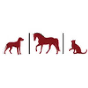 Salmon Brook Veterinary Hospital - Logo