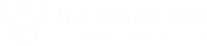 BodyGarage Dayton - Logo