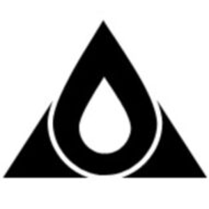 Triangle Water Damage Solutions - Logo