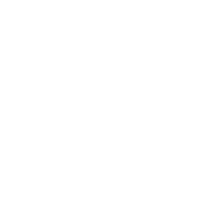 Super Bright Services - Logo
