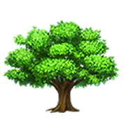 Arbor Vitae Yoga and Wellness Center - Logo
