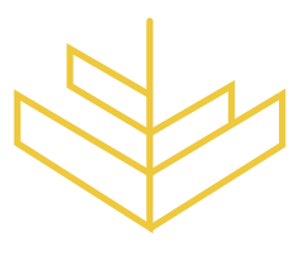 Kivoon Coaching - Logo