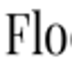 The Flooring Store & More - Logo
