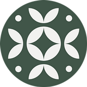 Stunning Med Spa - Logo