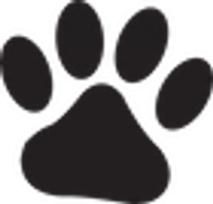 Angelface Pets