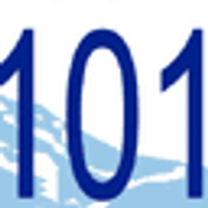 Driving 101 Driving School - Logo