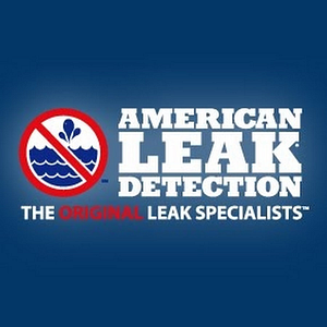Leak Detection - Logo