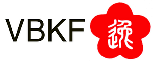 Virginia Beach Kung Fu - Logo