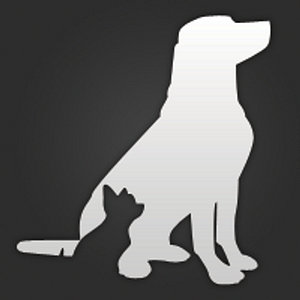 Lonestar Dog Trainer - Logo
