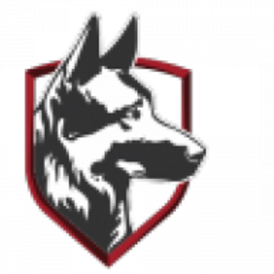 Elite K-9 Training