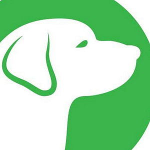 Nadia's Dog Nanny Services LLC