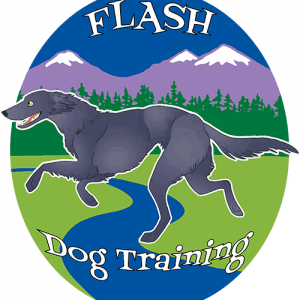 Flash Dog Training