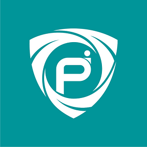 PREPMOR INSURANCE GROUP LLC - Logo