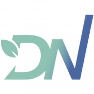 DN Accounting & Bookkeeping Services - Logo