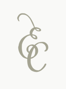 Erin Chapman Photography - Logo