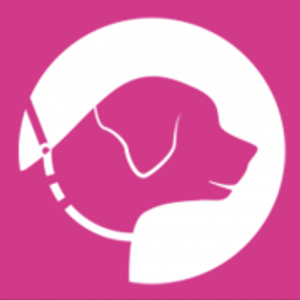 NYC Dog Walkers, LLC - Logo