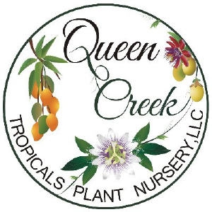 Queen Creek Tropicals Plant Nursery