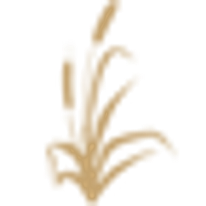 The Manor House at Commonwealth - Logo