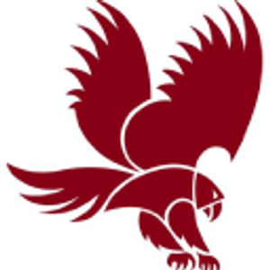 RedHawk Mechanical Inc - Logo