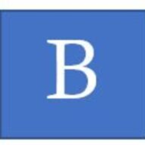 Better Lawn Services Inc - Logo