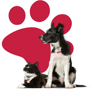 24 PetWatch - Logo