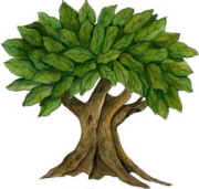 Sycamore Tree Counseling Services - Logo