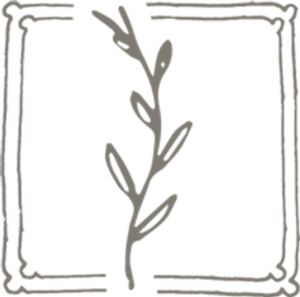 The Living Lenz - Logo