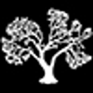 Beauty Tech Spa - Logo