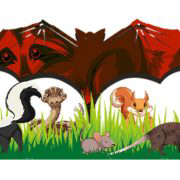Ultimate Pro Wildlife Removal LLC Columbus Ohio