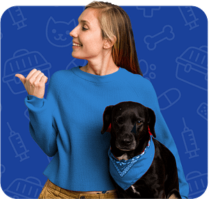 Jax Vets Affordable Animal Hospital at Baymeadows - Logo