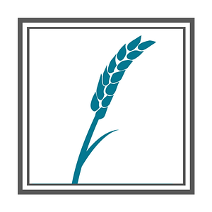 Discovery Builders, Inc. - Logo
