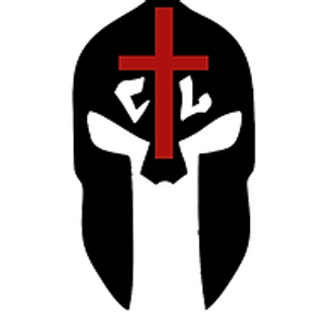 Christian Taekwondo League - Logo