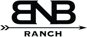 Buck N Buffalo Ranch - Logo