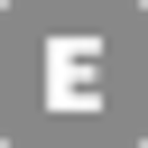 Effective Security Services LLC