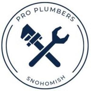 Pro Plumber Snohomish - Logo