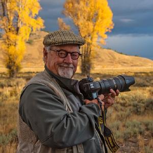 MANGELSEN—Images of Nature Gallery - Logo